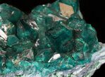 Gemmy Dioptase Cluster (Large Crystals) - Namibia #44660-1